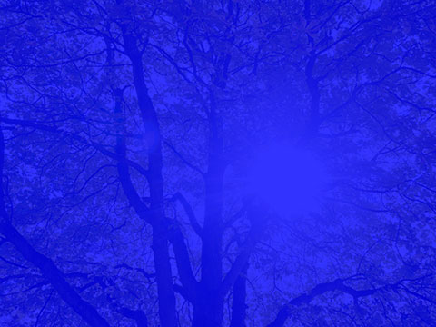 merkmale-overlay-09